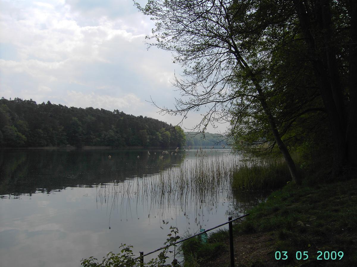 Ferienwohnung Luzinblick Feldberger Seenlandschaft Exterior photo